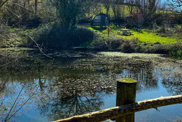 Pond by the small landpod Pond by the small landpod