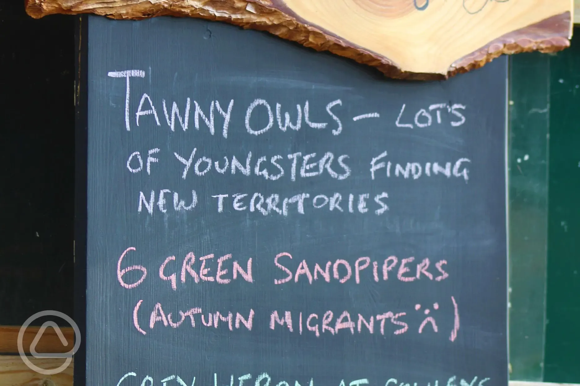 Wildlife sightings board