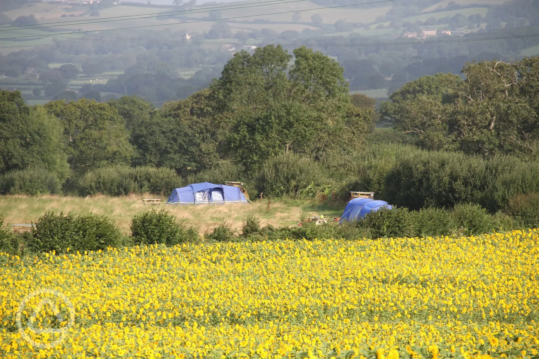 Non electric grass pitch with private toilet