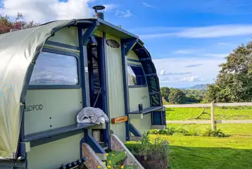 Large landpod Large landpod