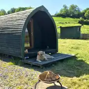 Camping pod - dog friendly