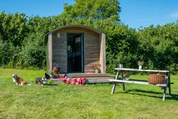 Furnished camping pods exterior with a picnic bench (dog friendly) Furnished camping pods exterior with a picnic bench (dog friendly)