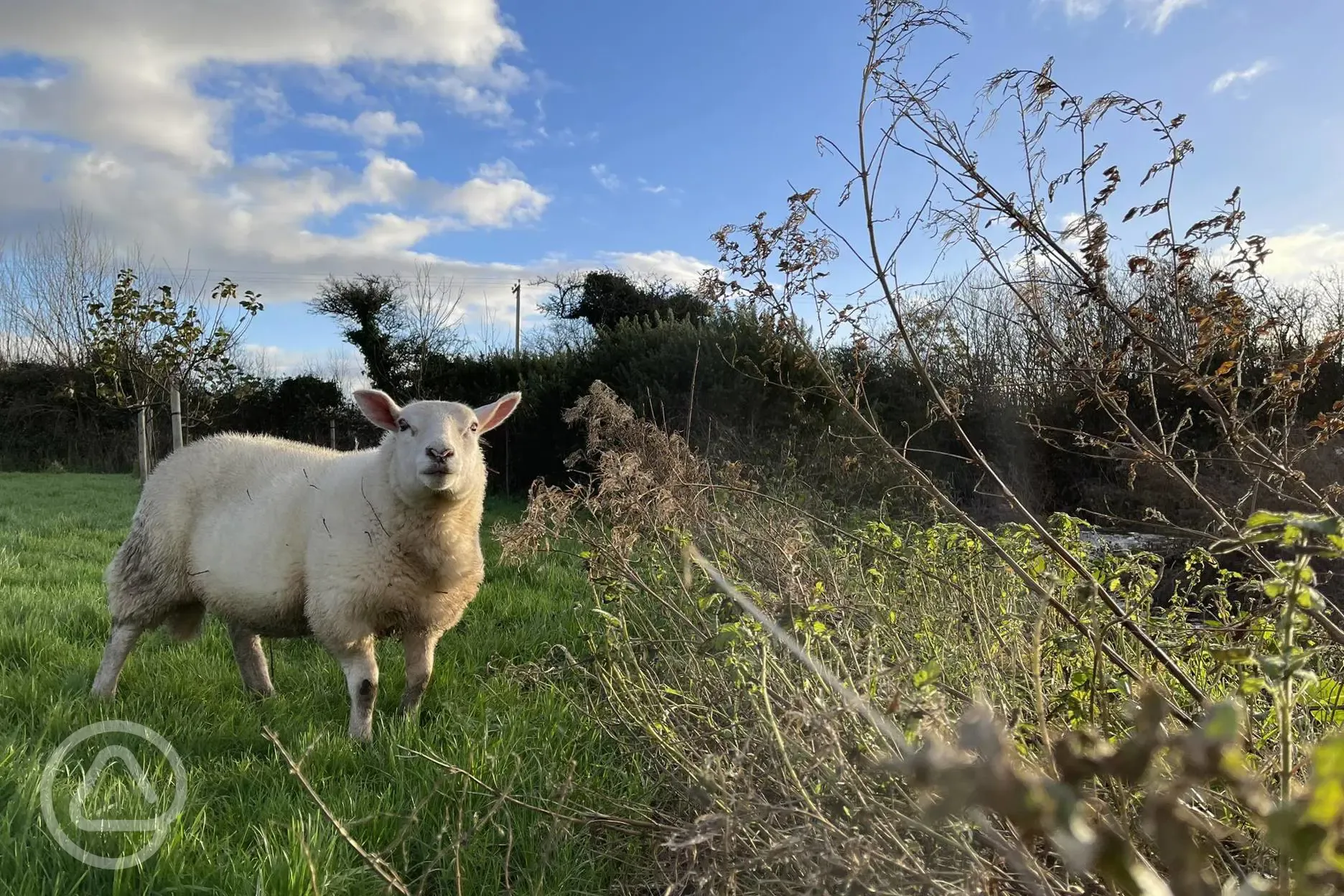 Farm setting