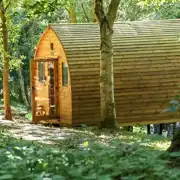Glamping pod in the woodland