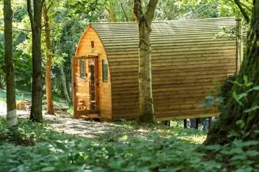 Glamping pod in the woodland