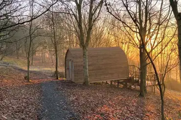 Glamping pod in the woodland