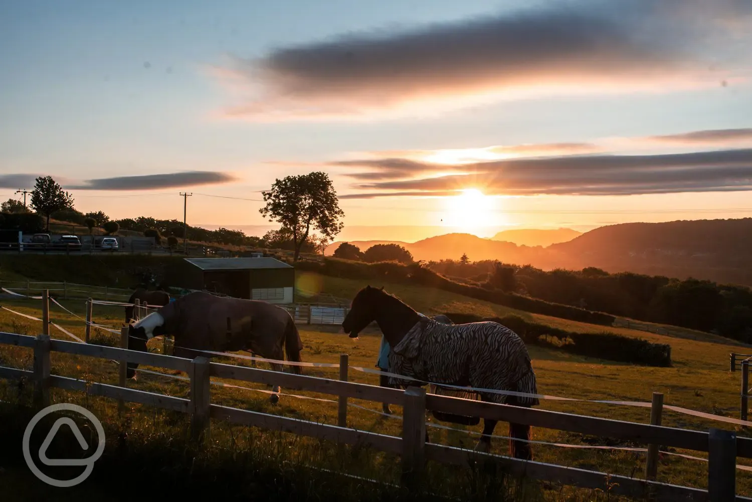 Horses at sunset