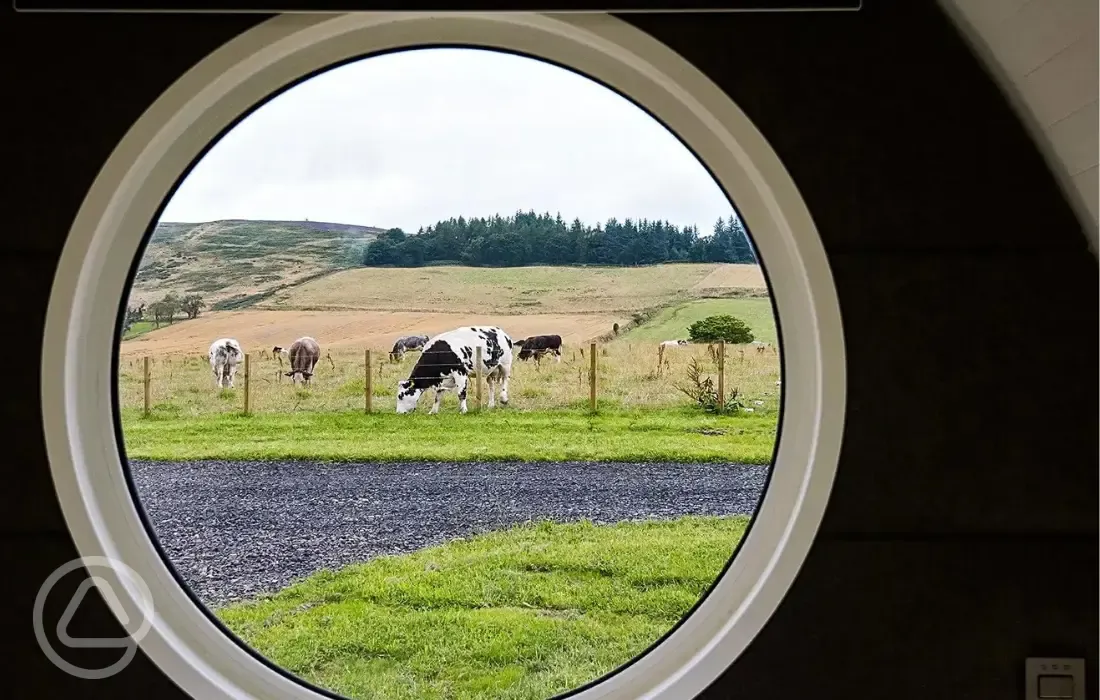 Views from the glamping pods