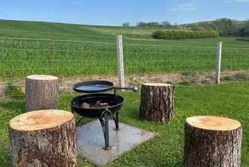Fire pit Fire pit