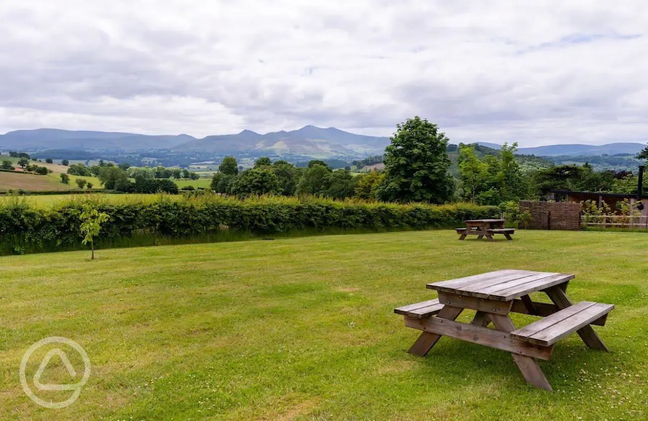 Picnic benches 