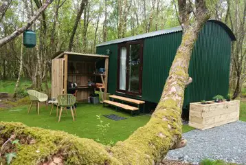 Glamping cabin Glamping cabin