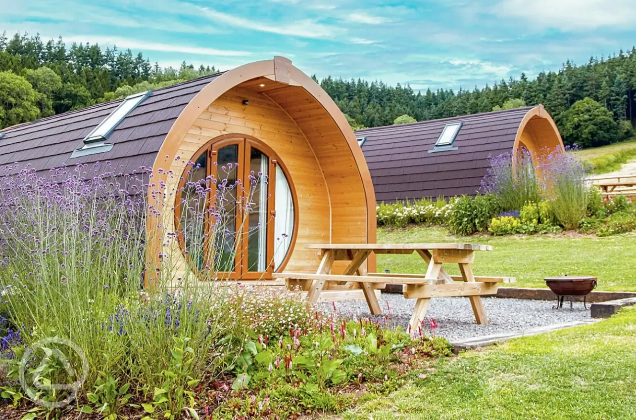 Glamping pods