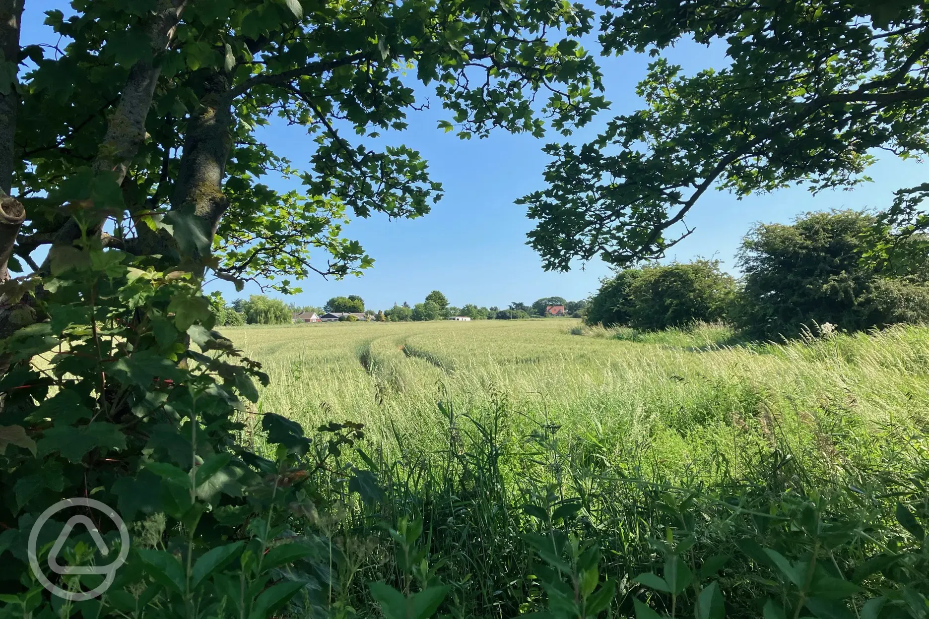 Views from site