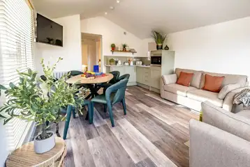 Cabin interior with sofa, TV, kitchenette