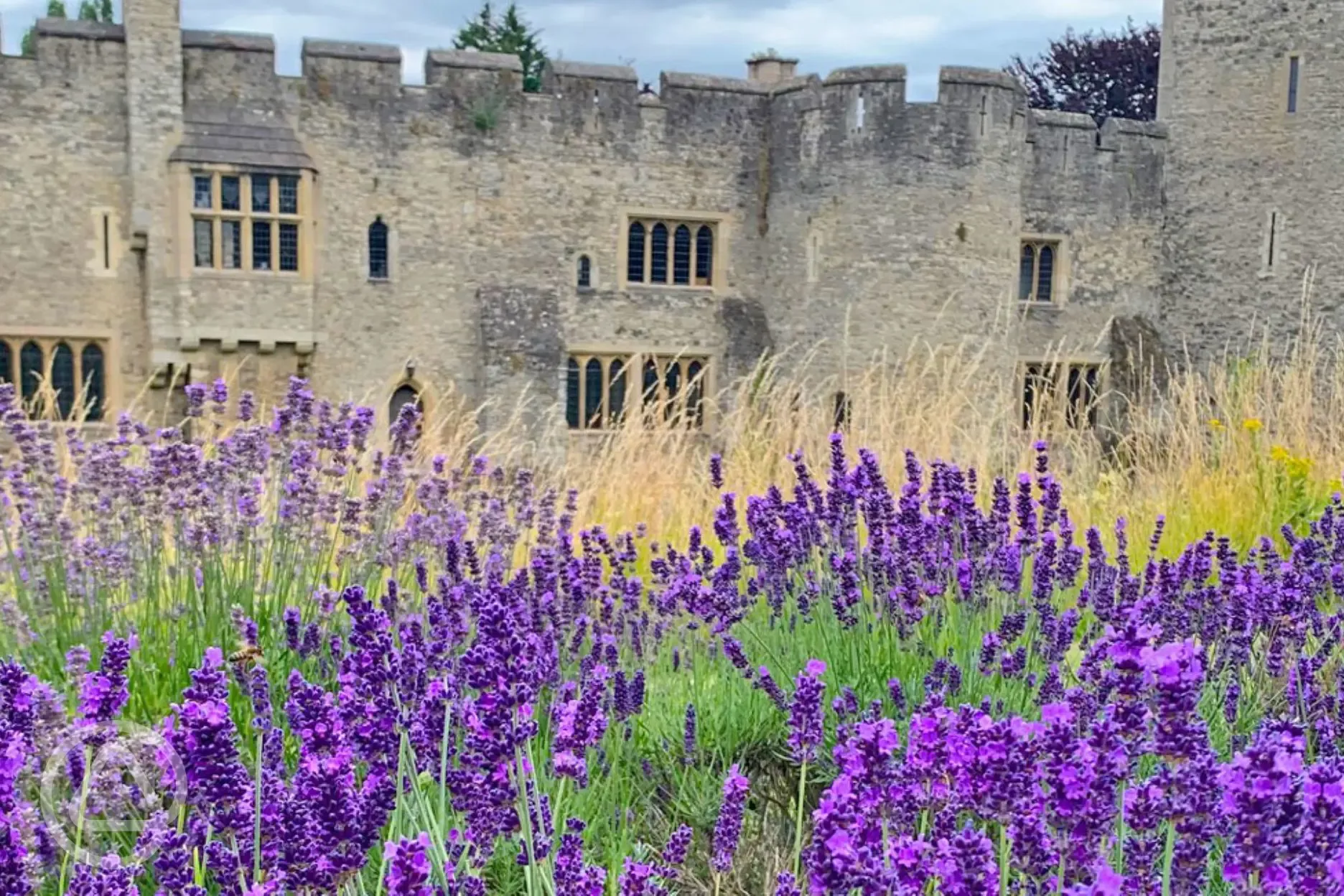 Allington Castle