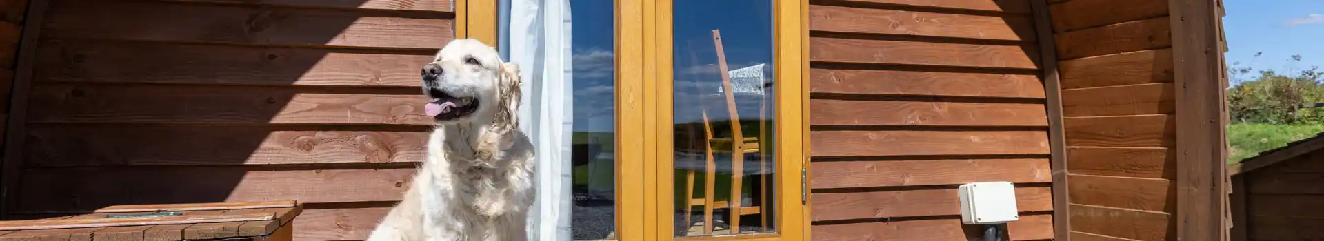 Dog friendly camping and glamping pods in Wales