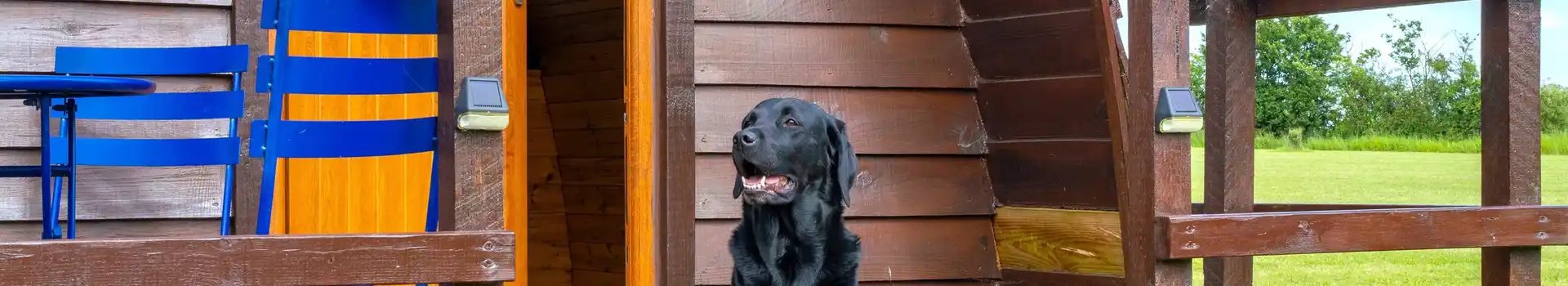 Dog friendly camping pods