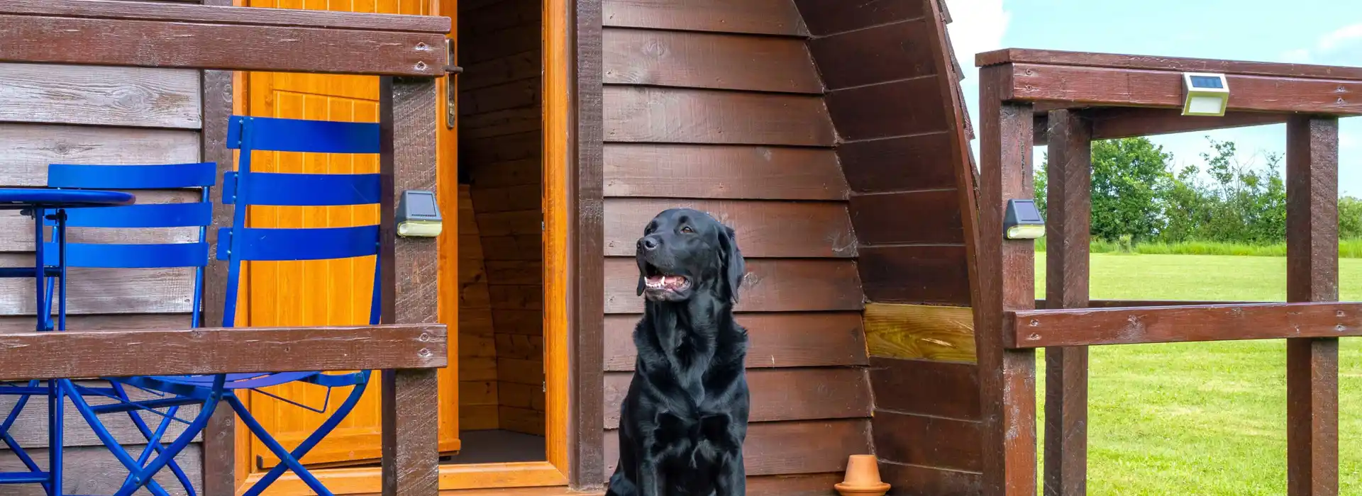 Dog friendly camping pods