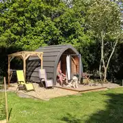 Kingfisher medium pod