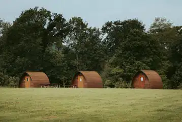 Vineyard Wigwams