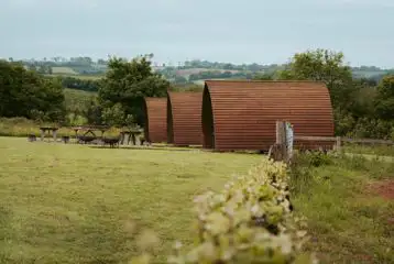 Vineyard Wigwams