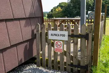 Alpaca pod with hot tub