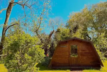 Dandelion pod exterior