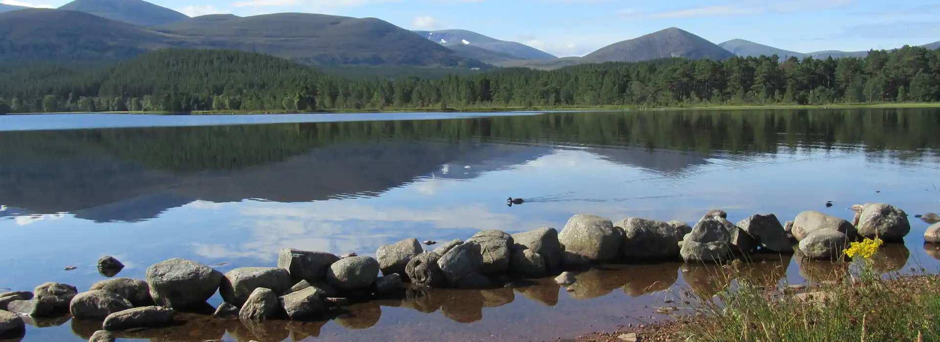 Campsites near Aviemore